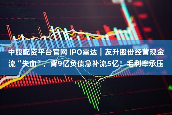 中股配资平台官网 IPO雷达｜友升股份经营现金流“失血”，背9亿负债急补流5亿！毛利率承压