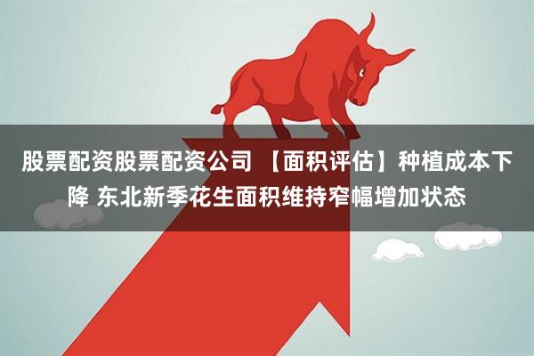 股票配资股票配资公司 【面积评估】种植成本下降 东北新季花生面积维持窄幅增加状态